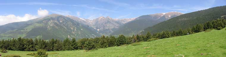 Punxar per veure gran